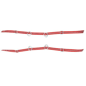 EX'PERT OF JAPAN(GLXp[gIuWp) HSXm[V[ JWL p q[oh 2{Zbg pi NO24