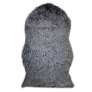 ֎qpO `FApO LvEAEghA`FA tFCN[gO 60×100cm ی` L or _[NO[