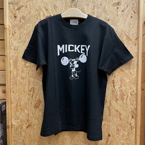 SEVEN THREE R �y�Z�u���X���[�A�[���z�y73R�z���� T�V���c 7320-mk73