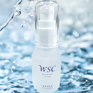 GCWOPA@_uזE@Wet@WSC@XLPA@30@40@50@@Y݁@ y|ga z 35mL|gA@WSC