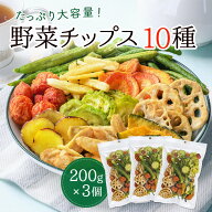 野菜チップス 10種 3個セット 600g 野菜スナック 乾燥野菜 カラダにおいしい 業務用 こども お菓子 おか…