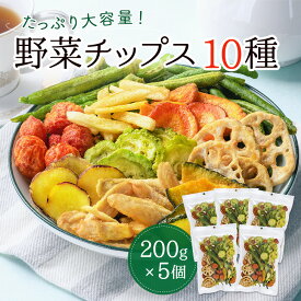 野菜チップス 10種 5個セット 1000g 野菜スナック 乾燥野菜 カラダにおいしい 業務用 こども お菓子 おかし おやつ 野菜 チップス スナック 大容量 たっぷり ヘルシー おやつ