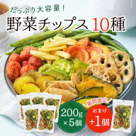 野菜チップス 10種 5個セット+おまけ1個 1200g 野菜スナック 乾燥野菜 カラダにおいしい 業務用 こども …