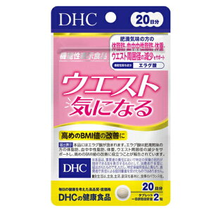 DHC@EGXgCɂȂ@20i40j×1@iji|XgBj