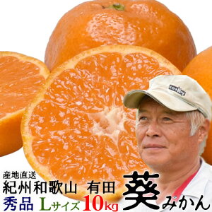 i\ja̎RLću݂v10kgEGELTCY yikCEȊOjz[MA-7]_ƊẪ݂oX▭