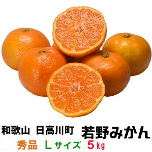 i\ju݂v5kgEGiELTCY yikCEȊOjzyZ[݂ÂŃs[^[ozIBa̎RS쒬(Ӓ)̎Y@B~J