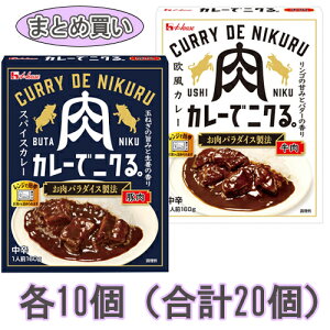 nEXHi J[ŃjNBV[Y ܂Ƃߔ 160g×10Ɠؓ 160g×10̃Zbgiv20jA\[g/oGeB/ggJ[/H/~i/h/J[/H