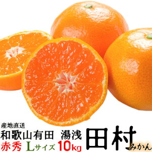 i\ju c݂v10kgEԏGELTCY yikCEȊOjzIBa̎RLc@{̘a̎RLcނ݂^Lc݂^݂ 10kg