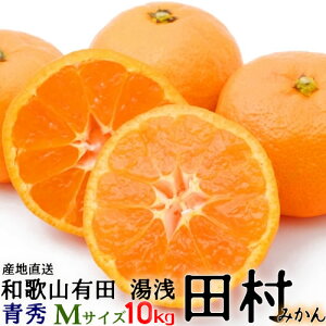 i\ju c݂v10kgEGEMTCY yikCEȊOjzIBa̎RLc@{̘a̎RLcނ݂^Lc݂^݂ 10kg