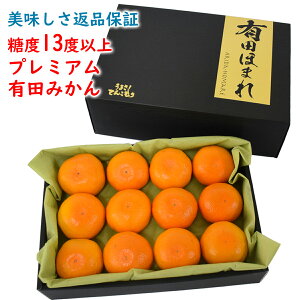 ԕiۏ؁I x13xȏ Lcق܂ MTCY 12 /a̎RLc݂/肾 ݂