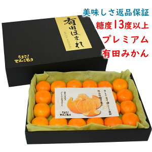 ԕiۏ؁I x13xȏ Lcق܂ MTCY 24 /a̎RLc݂/肾 ݂