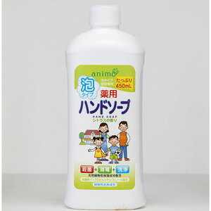 PbgΌ@l֗p{g pAnh\[v VgXi450mlj×30yz