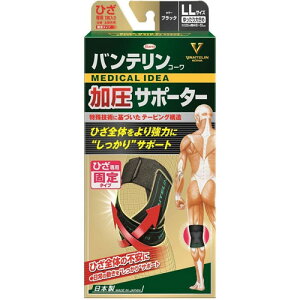 a@oe@R[@T|[^[@Ђp@LLTCYi傫߁j×2yz