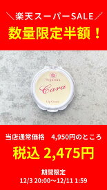楽天市場 ホホバオイル リップの通販 楽天市場 ホホバオイル リップの通販