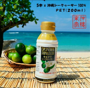 SALEJÒ V[N[T[ ʏ`100 200ml×1{/؂ V[N[T[ ʏ`100 W[X kn mr` ʏ`100 V[N@[T[  k NhN _CGbg NG_ Y 