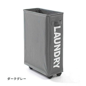 h[oXPbg h[S h[{bNX 42L e LX^[t 󂩂 JS [ E߂ ܂肽 h[[ 󕨓  h[ Vv 