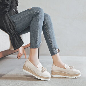 [t@[ fB[X ɂȂ rbg[t@[ XNGAgD 6cmq[  JWAV[Y w C ʋ΁Eʊw ItBX JWA Gi fB[X V[Y Xb| 