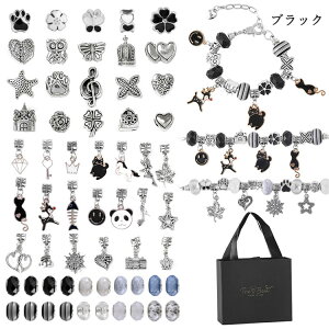 DIY uXbg 3{ q r  킢 66pcs r[Y ̎q w ANZT[   n y_g ANZT[Lbg Io NX}X a v[g M
