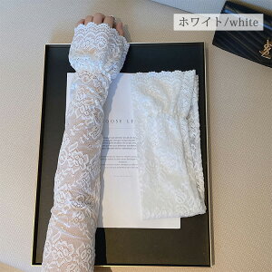 [X A[Jo[ fB[X    rJo[  ʋ ʊw ^] AEghA X|[c ] ̎q Ђ  Ăh~ UVJbg O΍ ~ 