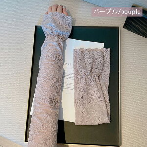 [X A[Jo[ fB[X    rJo[  ʋ ʊw ^] AEghA X|[c ] ̎q Ђ  Ăh~ UVJbg O΍ ~ 