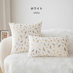 NbVJo[ 30×50cm 45x45cm NX}X 9F ґ  NbV Jo[ zcJo[ ӂӂ _炩 \t@w k \t@ ƒp ItBX ֎q ԓ Q rO 