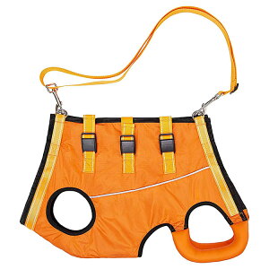 pn[lX  SgT|[g s⏕ ybgp ^ ^ ^  n[lX V Oƌ㑫⏕ nr _炩 ʋC p sT|[g p 񕜒 aC U [h 