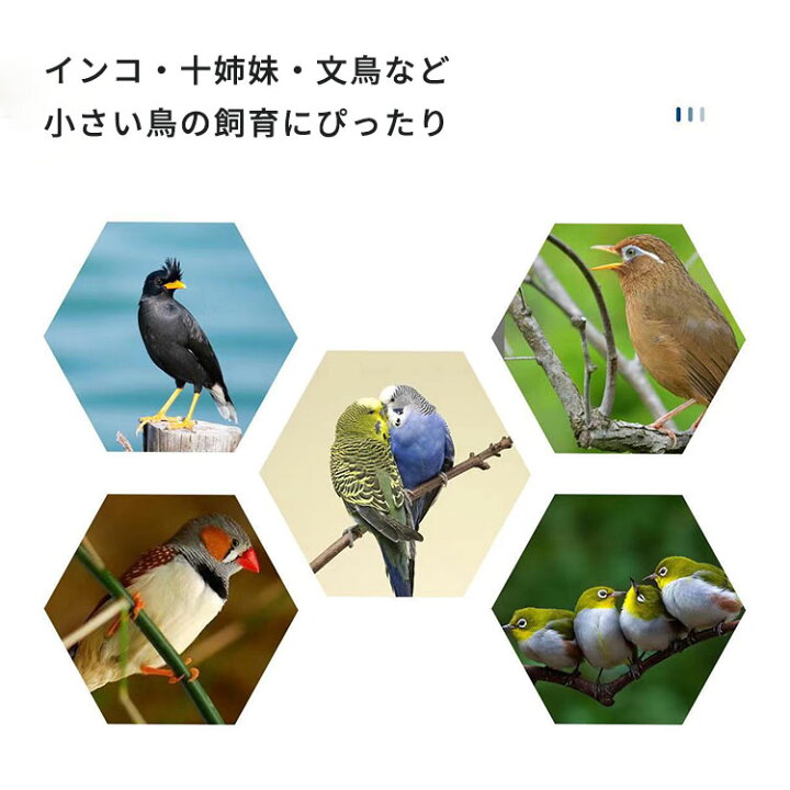 楽天市場】鳥かご 持ち運び便利 30x23x26cm おしゃれ 軽量 鳥ケージ 鳥 