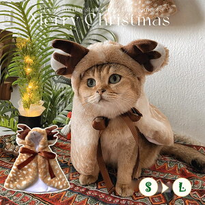  NX}X giJC RXv ybg }g  ^ L  ʐ^Be lC ins EȒP  ߑ Xqt NX}X RX`[ g  IV |` hbO