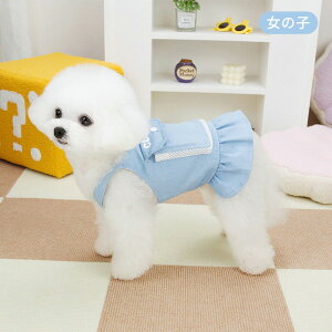  t n[lX  ^ ^ s[X I[o[I[ Tybg hbOEGA L ybg EȒP h~  U o  xXgn[lX _炩