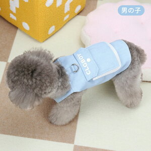  t n[lX  ^ ^ s[X I[o[I[ Tybg hbOEGA L ybg EȒP h~  U o  xXgn[lX _炩