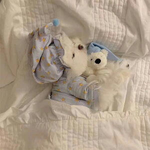  L  pW} Xqt SNSf tďH EFA   ybg 2_Zbg hbOEFA LbgEFA ^ ^ Jo[I[ p[X EȒP   