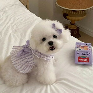  L s[X SNSf  ybg tďH [EFA  hbOEFA LbgEFA ^ ^ Jo[I[ p[X EȒP   K _炩 L