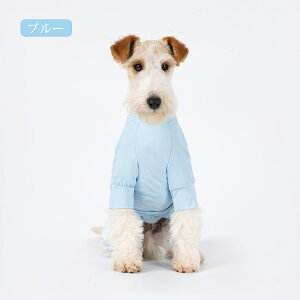  Ђ N[EGA O΍ UVJbg ^ ^   ڐG⊴   Jo[I[ ΍ 悯 Ȃ p[X  ʋC K  _炩 U o