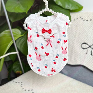 t ybg  [X t ^Ngbv ^ ^ m  ʋC  DOt  ʐ^ ins hbOEFA LbgEFA L ё΍ ԕ xXg EȒP U