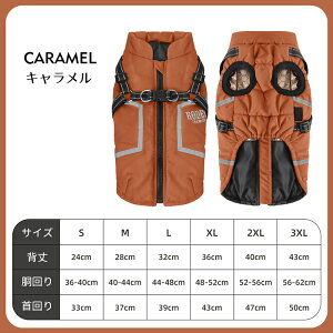 p n[lX̌^ WPbg g xXg ~ hbOEFA ybg L  ^ ^ h xXg o U EȒP ʐ^ LOBe   _炩  