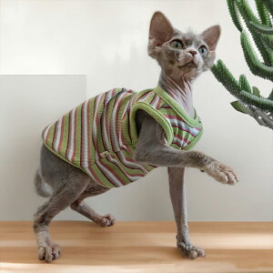 LbgEFA XgCv _炩  f{bNX XtBNXL ArVjA CX^f  L ^Ngbv ybg  Z[^[ tďH єL EȒP R[jb