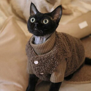 LbgEFA {AxXg Z[^[ Zbg CX^f H ~   V XtBNXL EȒP _炩 L  ybg  Z[^[ ujbg ArVjA 