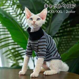 LbgEFA XgCv _炩  [EFA CX^f  nClbN  L f{bNX XtBNXL ArVjA ybg Z[^[ tďH єL E