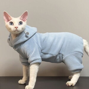 p[J[ f{bNX XtBNXL LbgEFA H ~ ӂӂ t[ht ΍ L  g[i[  V _炩 ё΍  ybg ArVjA E