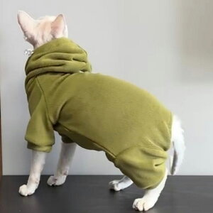 p[J[ f{bNX XtBNXL LbgEFA H ~ ӂӂ t[ht ΍ L  g[i[  V _炩 ё΍  ybg ArVjA E