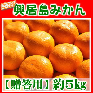 p ݂ 5kg Gi QY Mtg Ε