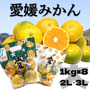  Q݂ 1kg×8܁@ɑ B݂ 8kg