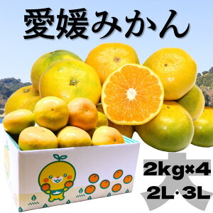  Q݂ 2kg×4@ɑ B݂ 8kg