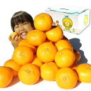 小粒ハウスみかん 約2kg 2S～4S不選別 愛媛県産 こみきゃん箱 ギフト お中元 /チルド便配送