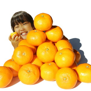 小粒ハウスみかん 約4kg(2kg×2箱) 2S〜4S不選別 愛媛県産 こみきゃん箱 /チルド便配送