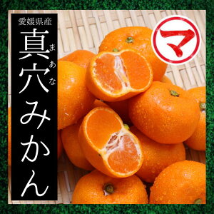 QY ^݂ 3kg (܂Ȃ݂) Mtg p Ε