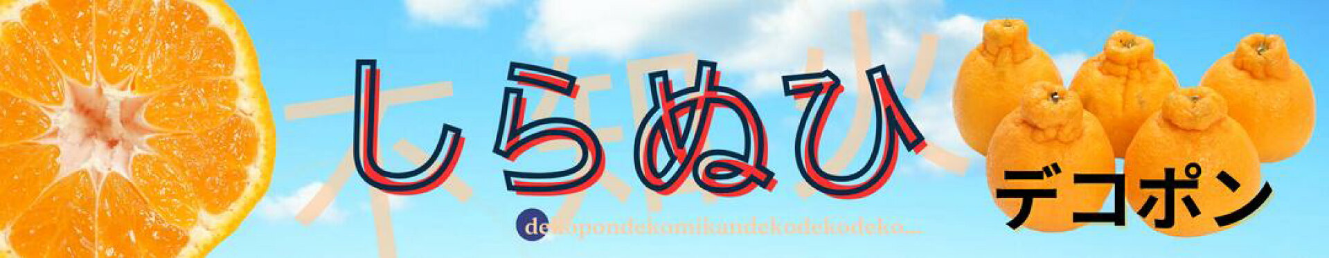 せいぶ青果：デコポン・しらぬひ