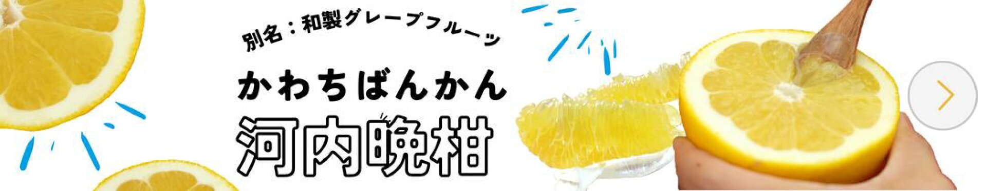 せいぶ青果：河内晩柑