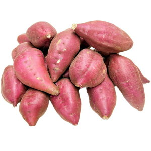 ܈  ȂƋ 5kg 2L~L Y