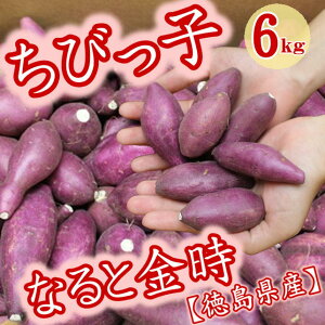 ܈  тqȂƋ 6kg Y